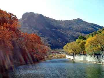 新澳门正版免费大全，海纳八宝植物润黑露